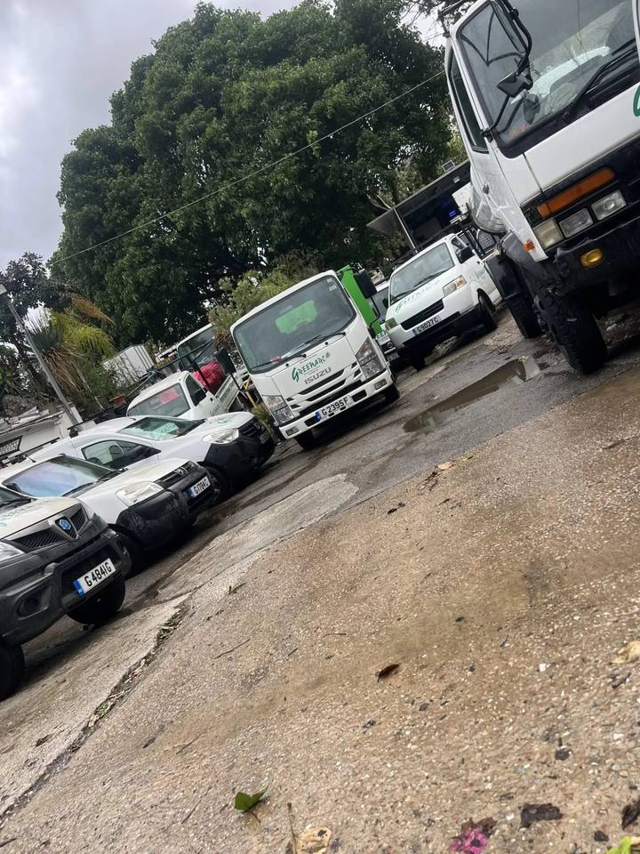 Greenarc’s white vans and lime-green Isuzu tipper parked in the depot yard under a large ficus tree, on a wet day.