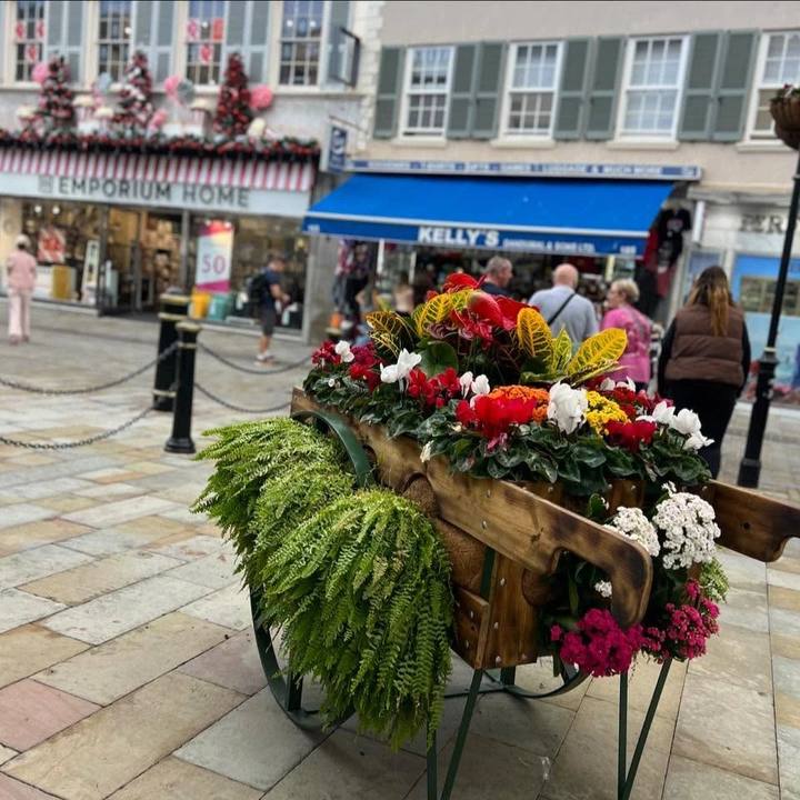 A wooden flower cart on Main Street, Gibraltar, filled with red and white cyclamen, anthuriums, crotons and trailing ferns.