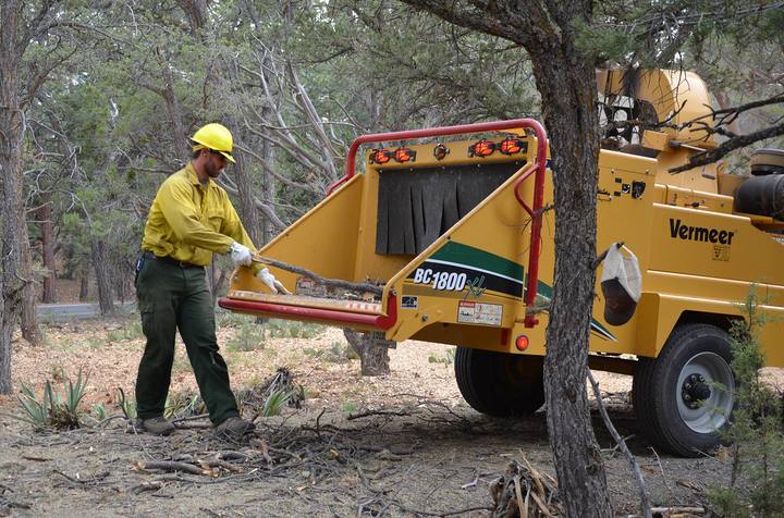 A worker in yellow protective gear feeding branches into a wood chipper in woodland.